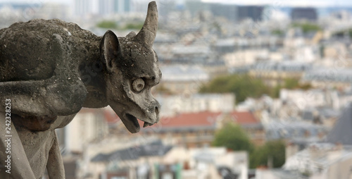 gargoyle on the cathedral of Notre Dame in Paris while observing