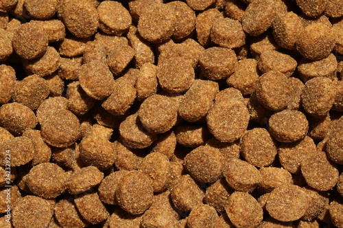Close up of healthy balanced dry dog pellets or kibbles.