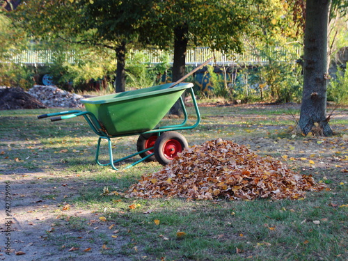 Green Wheelbarrow in Garden with Dead Leaves