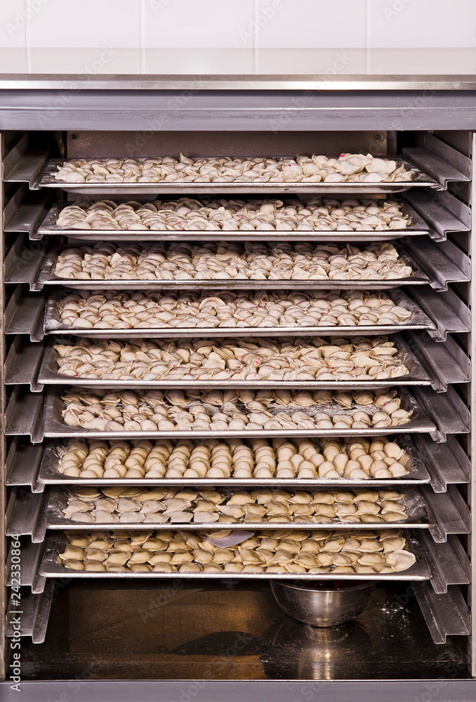 in open manufacturing refrigerator many dumplings