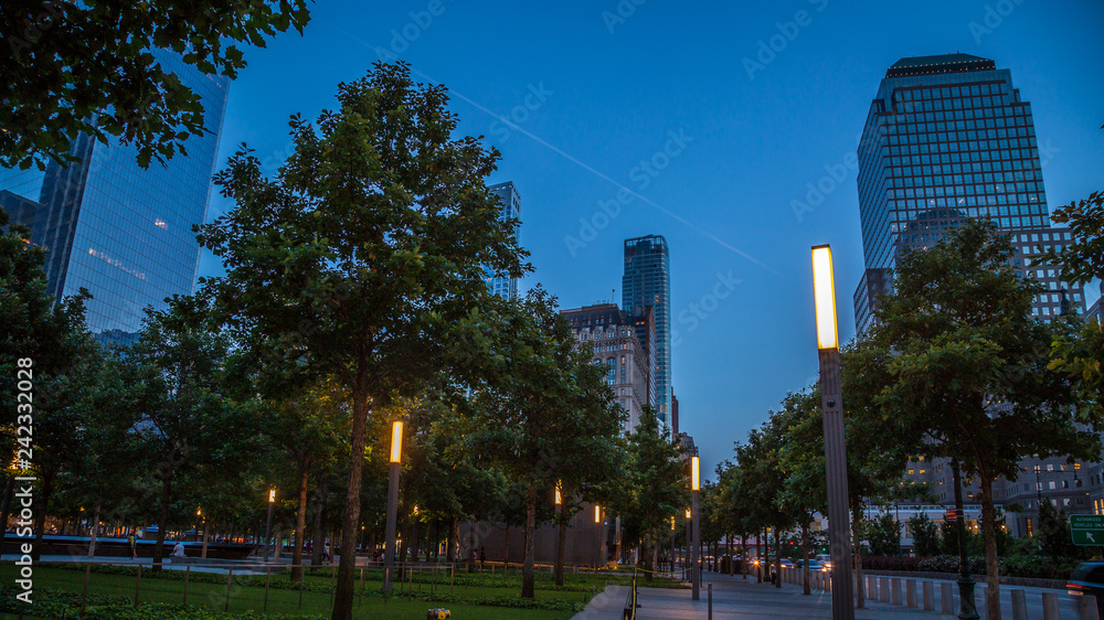 Fototapeta premium New York City