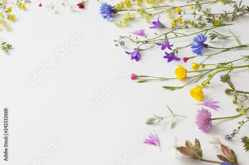 summer flowers on white paper background © Maya Kruchancova