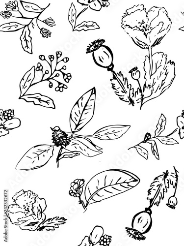 Wallpaper Mural Wild flowers. Sketch wildflowers and herbs nature botanical elements. Hand drawn summer field flowering vector set  Torontodigital.ca