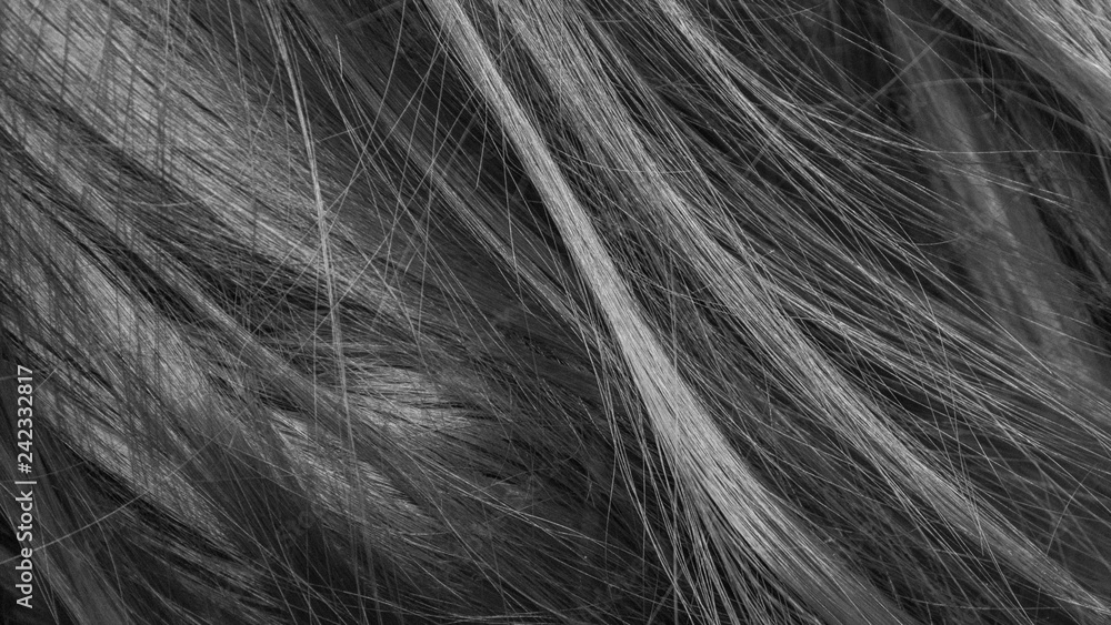 Fototapeta premium black and white hair texture background 