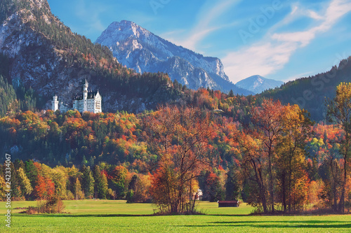 Beautiful Neuschwanstein castle in Bavaria, Germany, popular travel destination photo