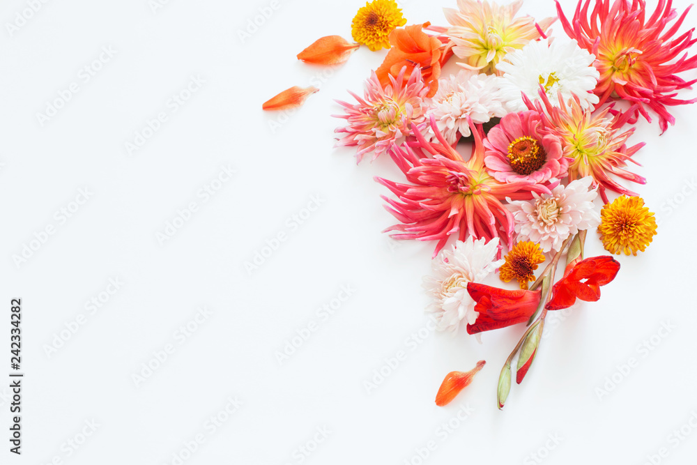 Fotografie autumn flowers on white background