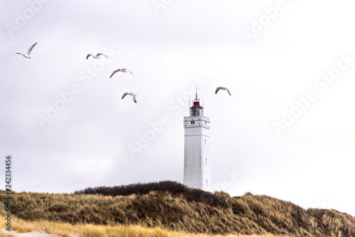 Leuchturm von Blavand, Dänemark photo