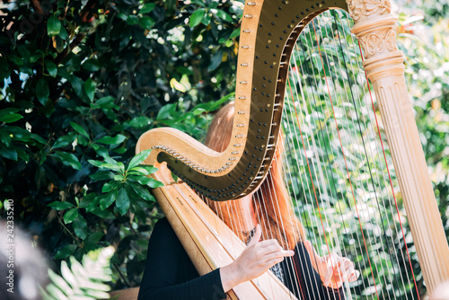 Fotografie Woman playing harp in a garden
