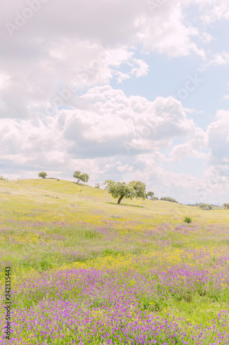 Colorful green field