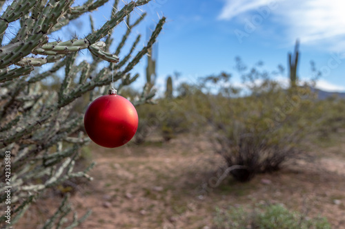 red Christmas ornament in desert