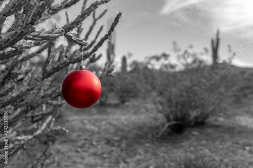 red Christmas ornament in desert
