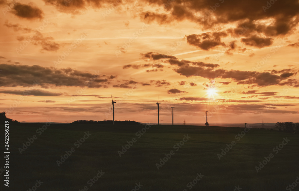 Fototapeta premium Windräder und Feld im Sonnenuntergang