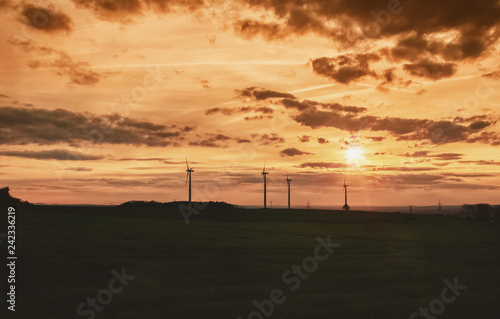 Windräder und Feld im Sonnenuntergang