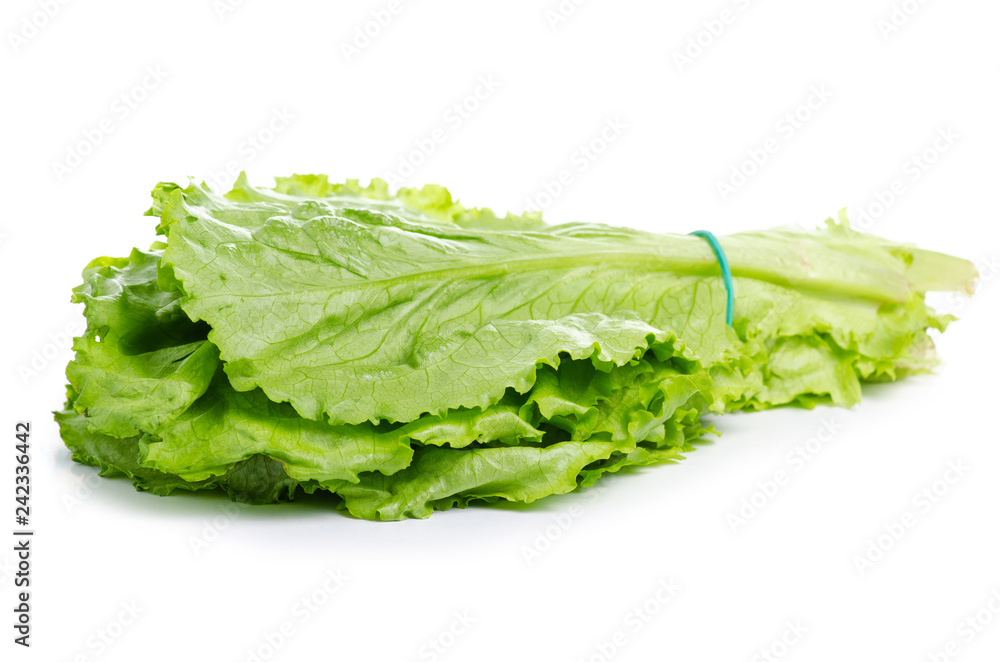 Salad leaves nature on a white background. Isolation Salad leaves nature on a white background. Isolation