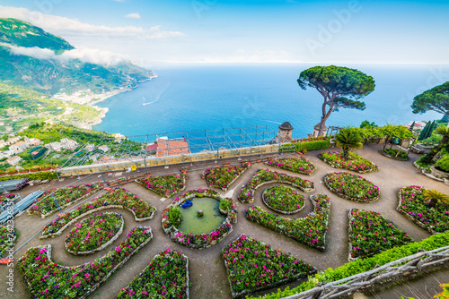 Flowers and pine trees in Ravello coast photo