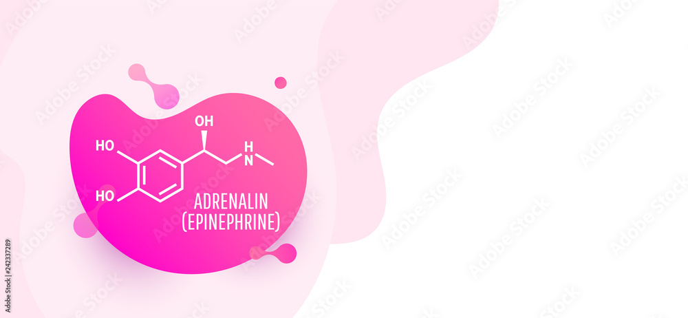 Adrenaline (adrenalin, epinephrine) molecule