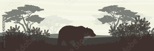 Silhouette. Big brown bear in the forest. Wild animals of Europe and America. Realistic Vector Landscape