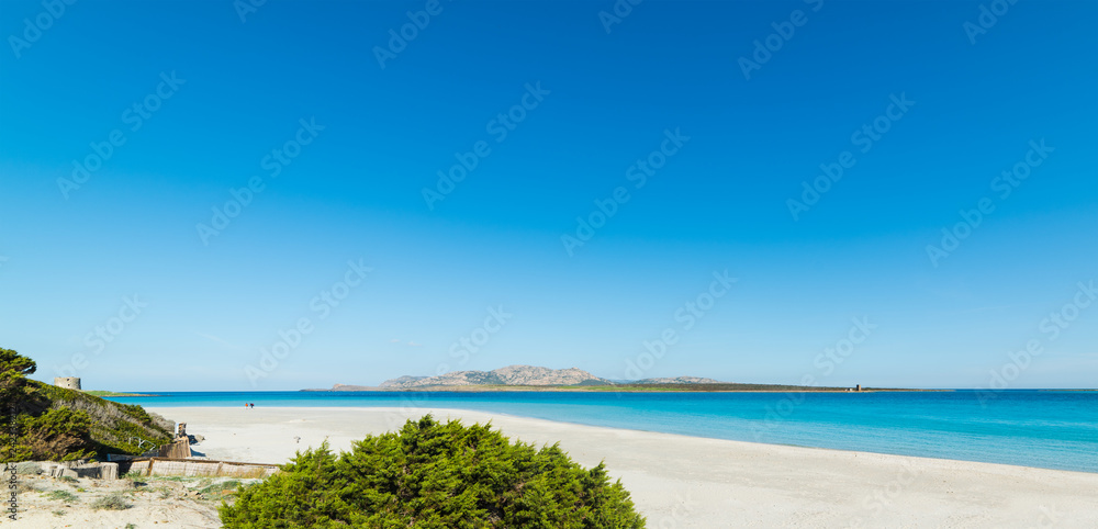 panoramic view of La Pelosa beach