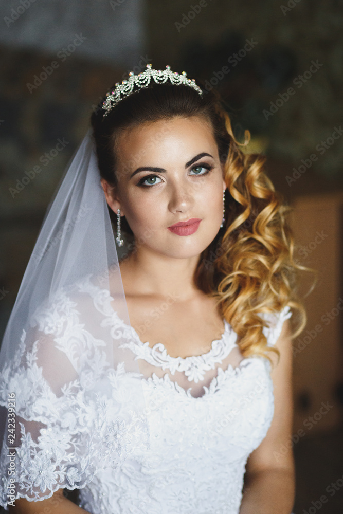beautiful bride portrait beautiful bride portrait