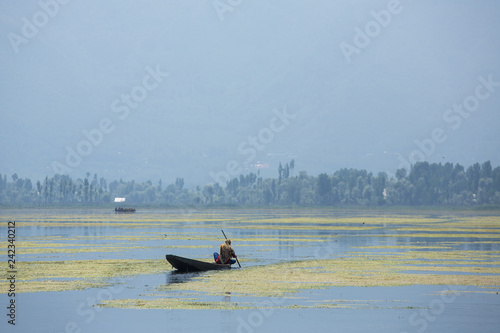 Traditional shikara boat on the Dal lake in Srinagar, Kashmir, India. photo