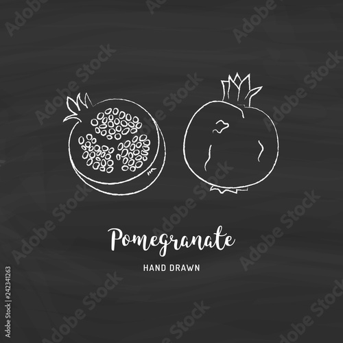 Pomegranate fruit drawing Vector hand drawn garnet fruit. Sketch of pomegranates with chalk on a blackboard, Vector isolated icons set