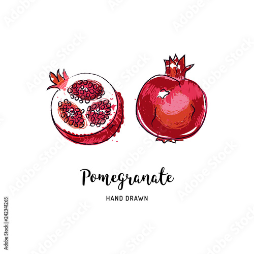 Pomegranate fruit drawing Vector hand drawn garnet fruit, Watercolor colorful pomegranates. Vector isolated icons set
