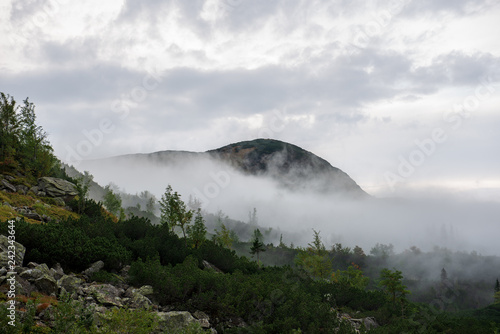 large misty cloud climbing mountain valley in slovakia, Tatra