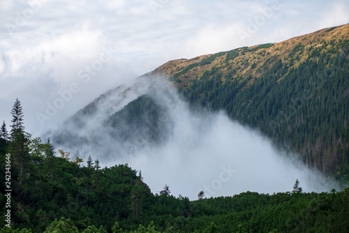 large misty cloud climbing mountain valley in slovakia  Tatra