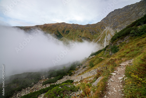 large misty cloud climbing mountain valley in slovakia  Tatra