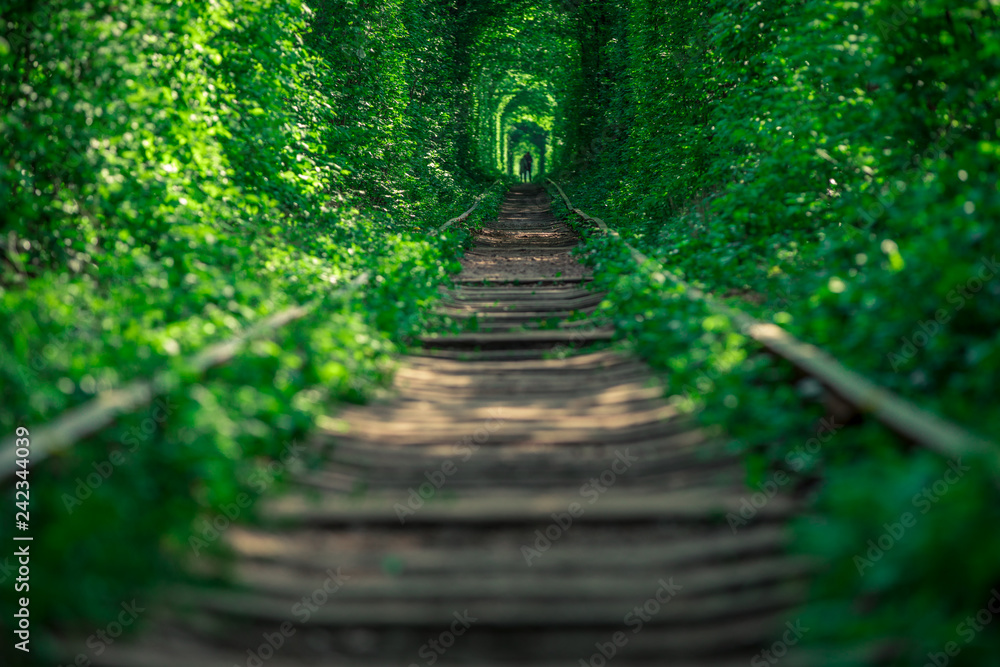 Obraz premium a railway in the spring forest tunnel of love