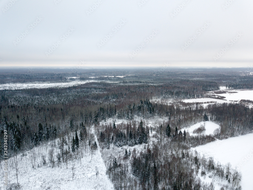 snowy trees in forest seen from above snowy trees in forest seen from above