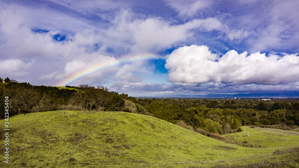 Panoramic landscape view of rainbow after a light rain and deer resting on the hills of Rancho San Antonio county park, south San Francisco bay, California