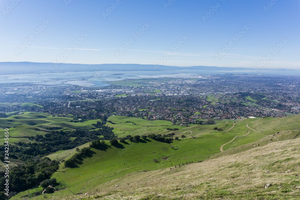 View towards Fremont from the trail to Mission Peak, cattle grazing on the hills, east San Francisco bay, California