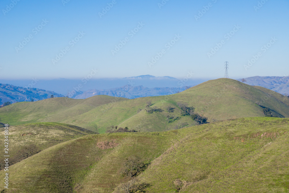 Rolling green hills and Mount Diablo in the background, Sierra Vista Open Space Preserve, south San Francisco bay, California