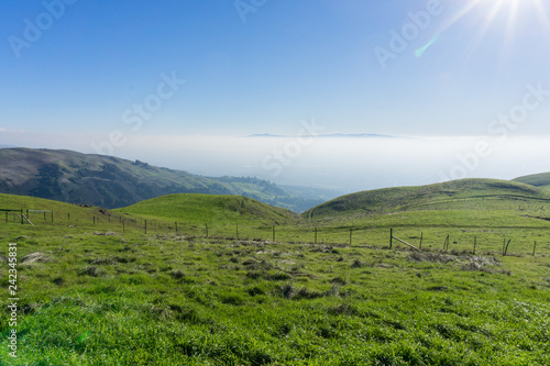 Fototapeta Naklejka Na Ścianę i Meble -  Fog covering San Jose as seen from Sierra Vista Open Space Preserve, south San Francisco bay, California