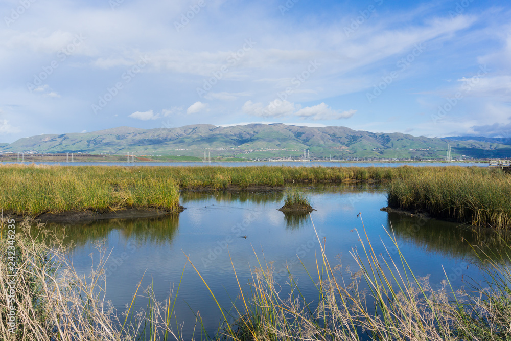 View towards Mission Peak; waterways at; Don Edwards Wildlife Refuge, south San Francisco bay, Alviso, San Jose, California
