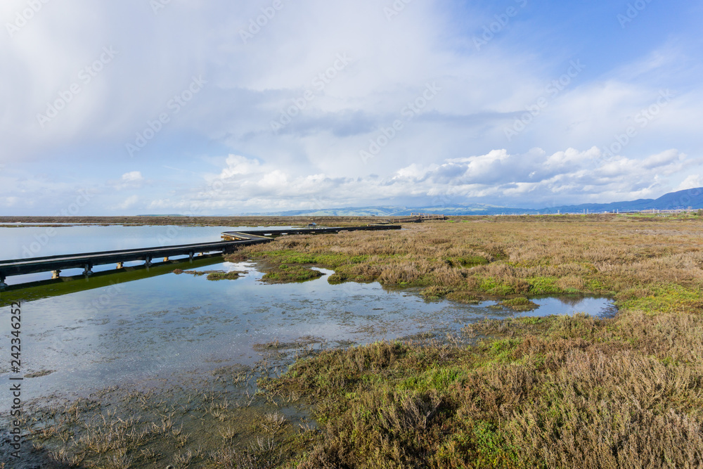 Salt ponds and marshes, Don Edwards Wildlife Refuge, south San Francisco bay, Alviso, San Jose, California