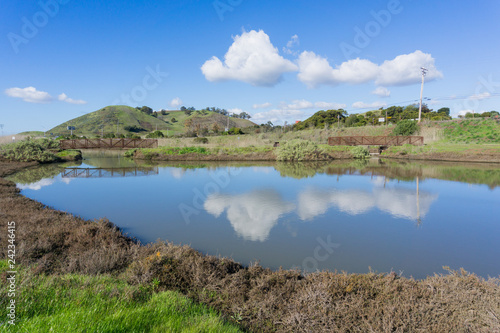 Pond in Don Edwards wildlife refuge, view towards Coyote Hills Regional Park, Fremont, San Francisco bay area, California