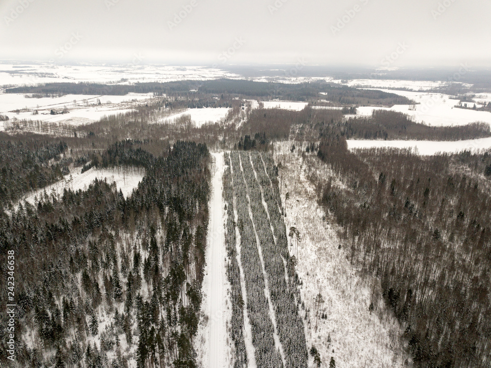 snowy trees in forest seen from above snowy trees in forest seen from above