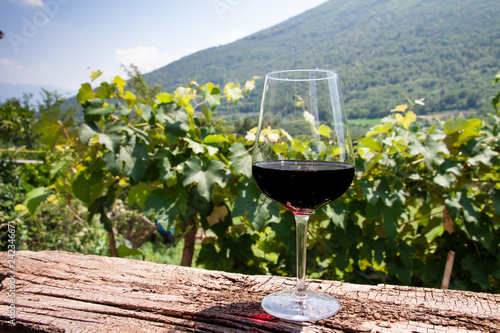 goblet of red wine in the countryside on wooden board, vineyard and Italian mountain in the background, outdoors