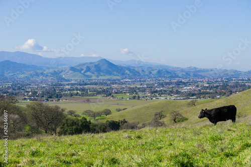 View towards Morgan Hill from Coyote Lake - Harvey Bear Park  California