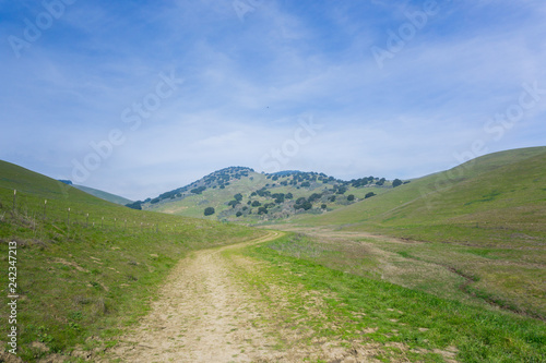 Trail in Brushy Peak Regional Park, East San Francisco bay, Livermore, California
