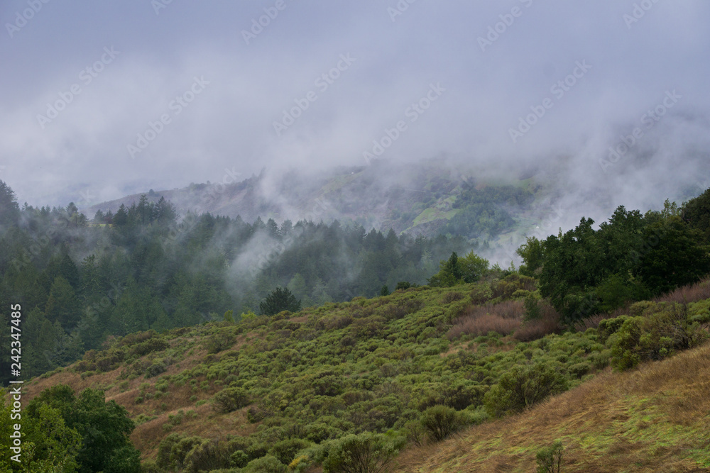 Fog rolling over hills and valleys, California