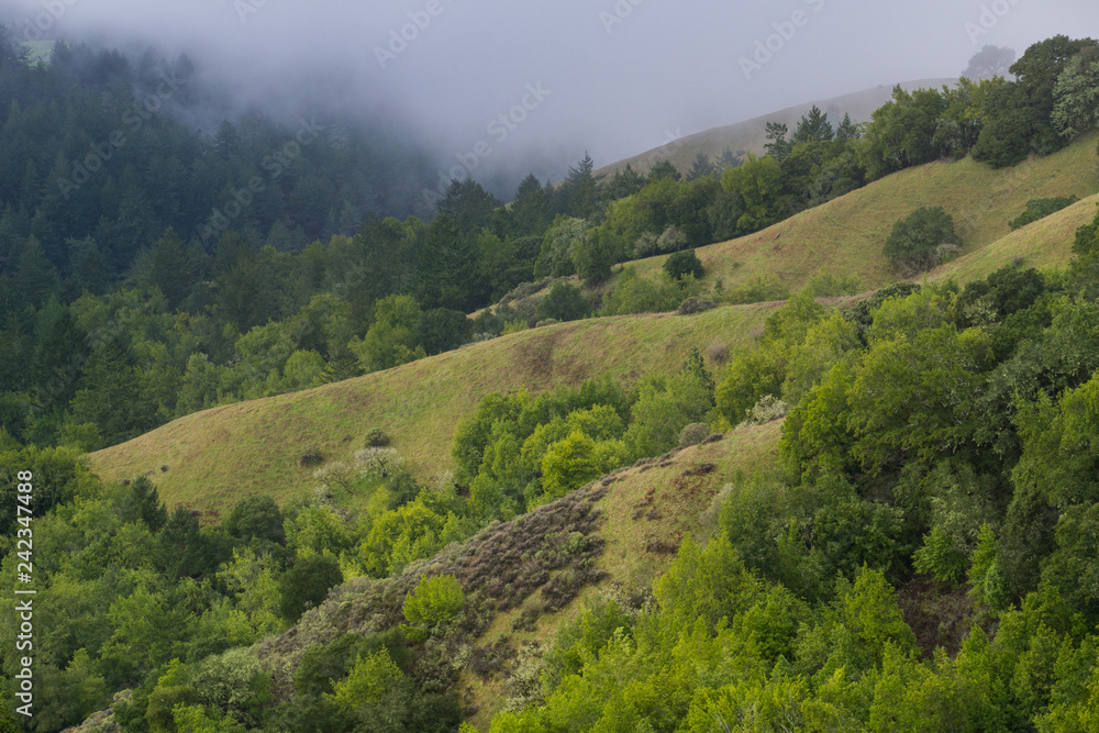 Fog rolling over hills and valleys, California