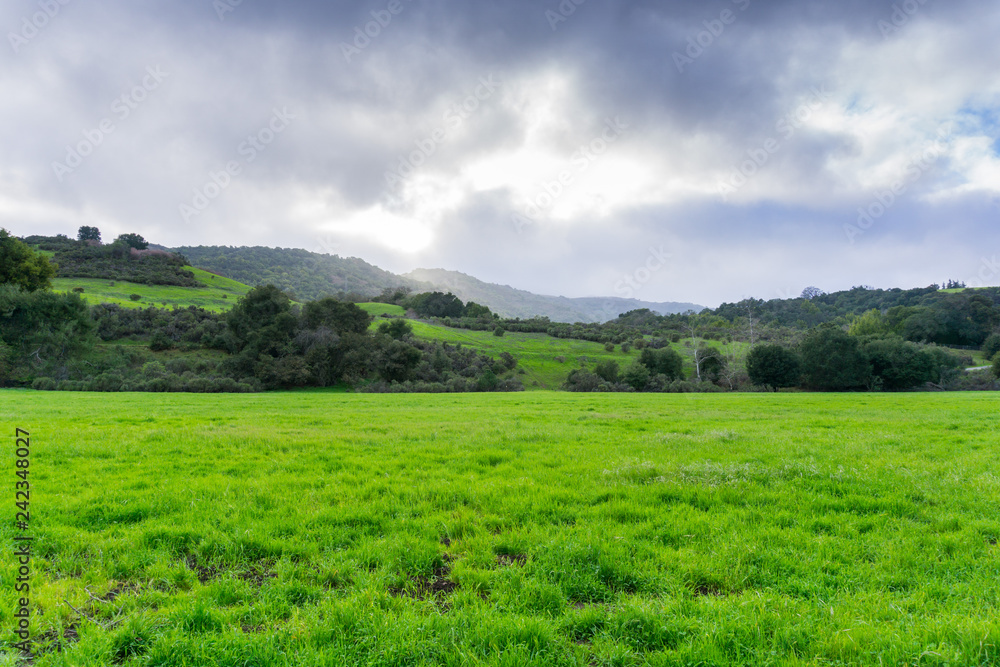 Meadow in Rancho San Antonio county park on a stormy day, south San Francisco bay, California