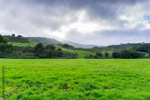 Meadow in Rancho San Antonio county park on a stormy day  south San Francisco bay  California