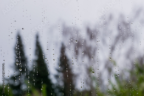 Drops of rain on the window, blurred trees in the background
