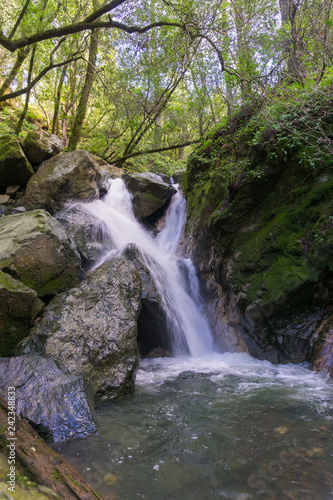 Fototapeta Naklejka Na Ścianę i Meble -  Waterfall in Sugarloaf Ridge State Park, Sonoma valley, California