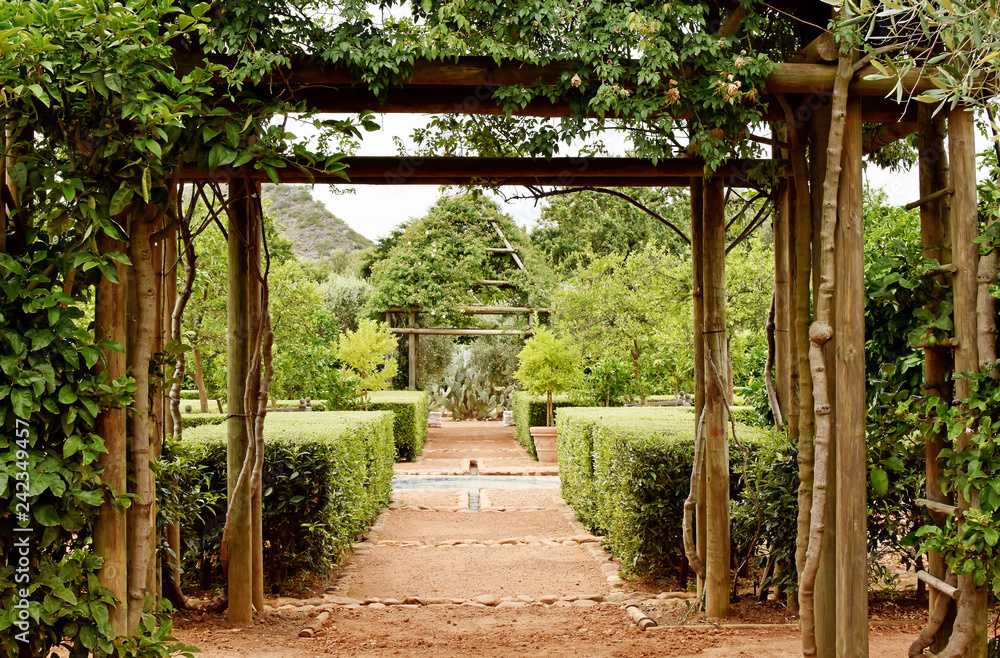 Cape Winelands - Babylonstoren - beautiful garden Cape Winelands - Babylonstoren - beautiful garden