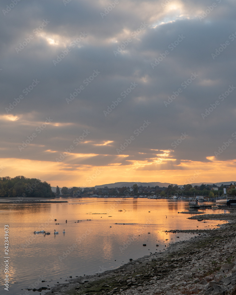 Golden hour in Rheingau, Germany